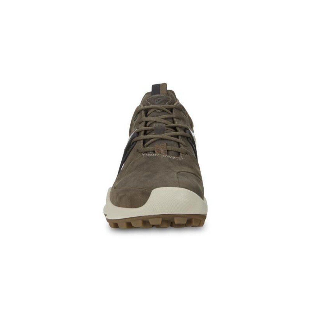 Mens Hiking Shoes - ECCO Biom C-Trail Low - Dark Grey - 0642PFGNC